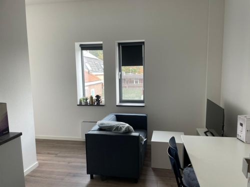 free-sector-houses for rent on Thomas van Kempenstraat